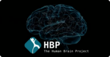 Human Brain Project Human Brain Project